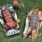Mittens_meow's Avatar'