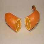 cDarwiniii's Avatar'
