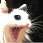 Konnorxy's Avatar'