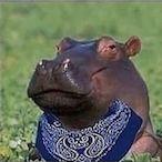 amzImp's Avatar'