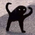 Gaap_Chan's Avatar'