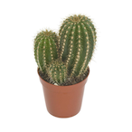Utobor1198's Avatar'