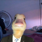 WalmartBroski's Avatar'