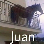 Esel_Juan's Avatar'