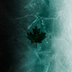 zNXBxZ's Avatar'