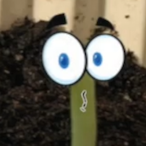 GIybool's Avatar'