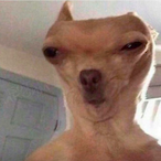 Twitch_STRIMIZ's Avatar'