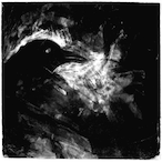 vCrjminals's Avatar'