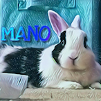 ManUwO's Avatar'