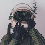 fakepanda746's Avatar'