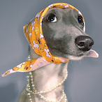 spazz....'s Avatar'