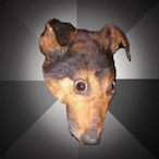 ramboo364212's Avatar'