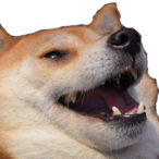 Fluffo_Guardian's Avatar'