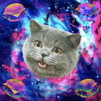 Tightkitty67's Avatar'