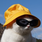 chillybtw's Avatar'