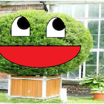 pospolity_krzak's Avatar'