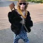 MrBingIeton's Avatar'