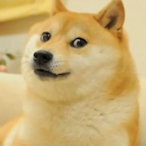 Mrdogwine's Avatar'