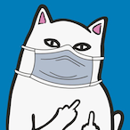 FakeKiwara's Avatar'