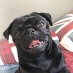 Kyo Challin's Avatar'