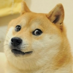 CykaMcNugget_FT's Avatar