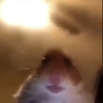 Jemmaswxng12's Avatar'