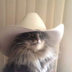 debra___'s Avatar'