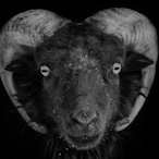 DethOriginal's Avatar