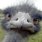 Ahh-Shi's Avatar'