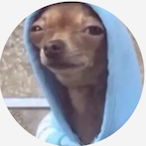 MayoKetchup.'s Avatar'