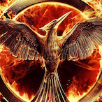 Ph30n1x-_-'s Avatar'