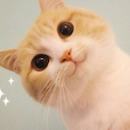 CYUo_o's Avatar'