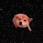 ripls1's Avatar'