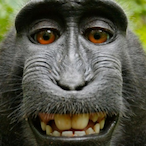 YeOldeHolye's Avatar