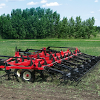 ALLlTERATION's Avatar'