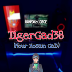 TigerGad38's Avatar'