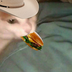 ProfessorArchi's Avatar'