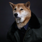 AveragePlayer90's Avatar'