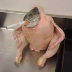 GelberBagger's Avatar'