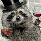 MrRacoon278's Avatar'