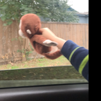 Mustysimp52's Avatar'