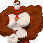 DonkeyKang's Avatar'