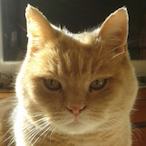 RealLife.Looser's Avatar