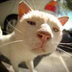 Martinm028's Avatar'