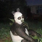 Darkeclipsions's Avatar'