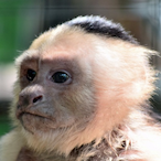 SyrupyMattDamon's Avatar'