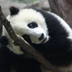 YuckySock289's Avatar'