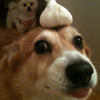 Noddidy3567's Avatar'