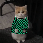 HiBerMaITaerinI's Avatar'