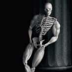 hofflcopter's Avatar'